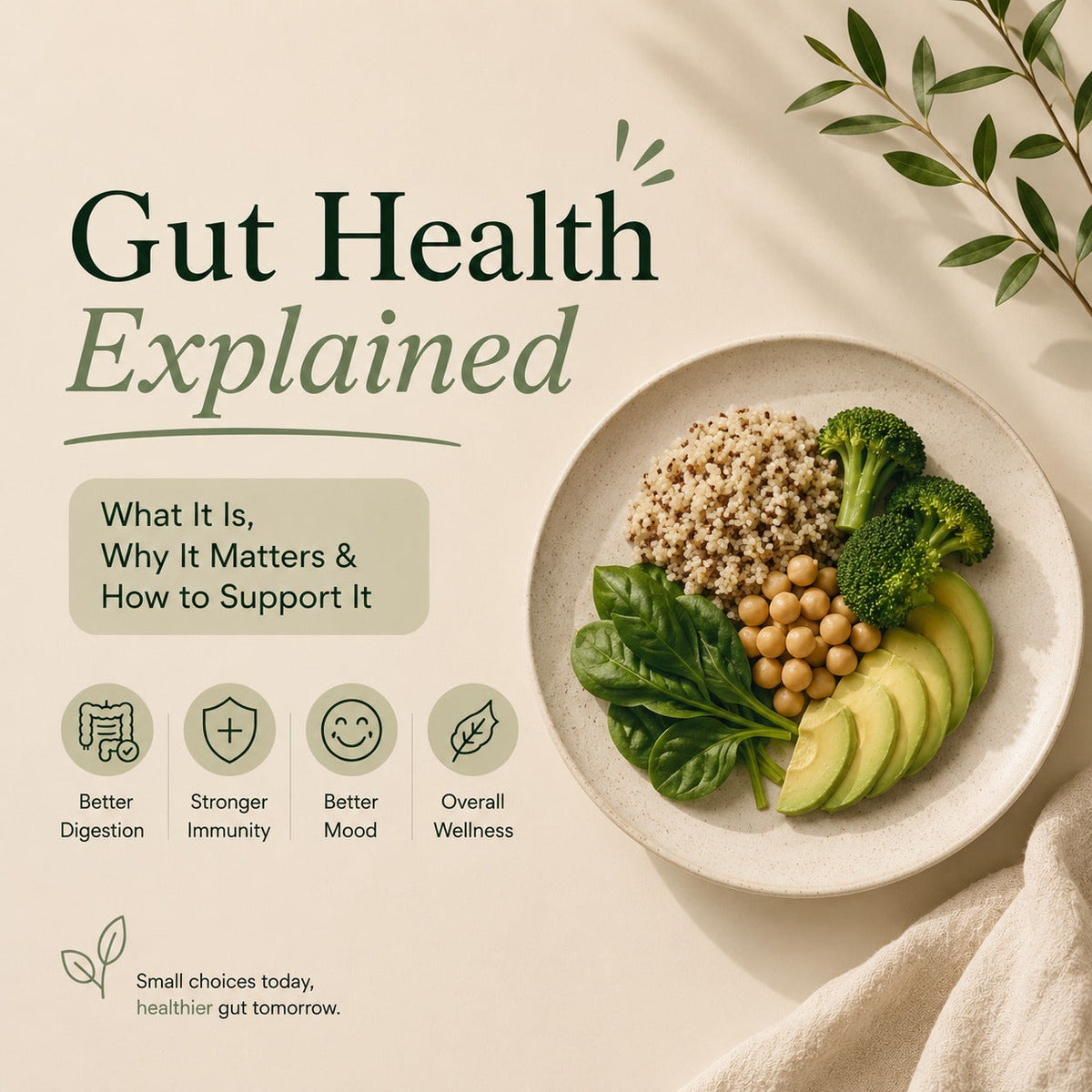 Gut Health Explained: What It Is, Why It Matters & How to Support It